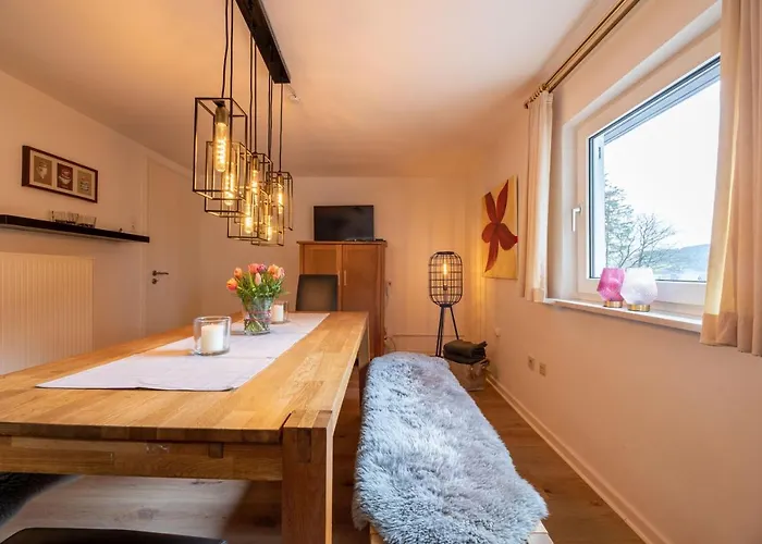 Haus Panorama 度假居 Niedersalwey